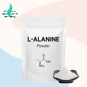 L-Alanine Powder (Food-Grade High-Purity Amino Acid CAS 56-41-7) – A versatile ingredient for flavor enhancement and nutritional fortification.