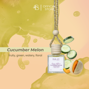 Cucumber Melon Hanging Diffuser for Home Car Room Perfume Long Lasting Air Freshener Fragrance Purifier Odor Eliminator