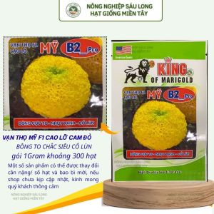(Gói LỚN 1GRAM khoảng 300 hạt) Hạt Giống Hoa Vạn Thọ Mỹ KING B2 -Pro - CAO Lỡ - Vàng Nhụy xanh Cổ lùn- bông to chắc.