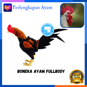 BONEKA AYAM Fullbody Boneka Ayam Bangkok Alat Olahraga Ayam Patung Ayam