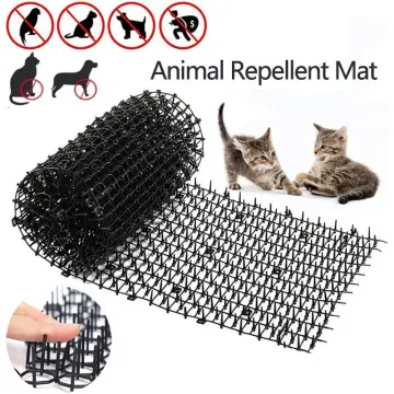 daiso cat repellent spike Buy daiso cat repellent spike at Best Price in Malaysia h5.lazada .my