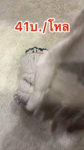 ถุงมือผ้า 500กรัม(ยกแพ็ค10โหล)480บ.