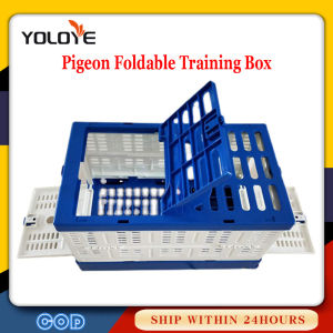ABS durable Pigeon Foldable Training Box 1-3 capacity of Bird Pigeon Travel Cage