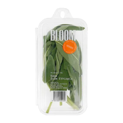 Bloom Sage Herbs Leaf/Leaves