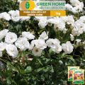 Phân Bón Hữu Cơ Green Farm, GreenHome, Gói 1kg, Chuyên Dùng Cho Cây Cảnh, Hoa Hồng. 