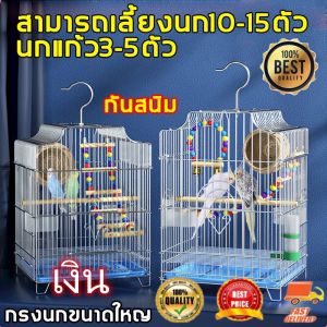 ขนาดที่ใหญ่ที่สุด 33x30x44cm WGG กรงนกขนาดใหญ่ กรงนก แขวนได้ สีชมพู สีฟ้า สีขาว กรงนกทรงเหลี่ยม กรงนกแก้ว กรงนกแก้วเล็ก กรงนกแก้วใหญ่ๆ กรงนกราคาถูกๆ กรงสำหรับนก กรงนกเขาใหญ่ กรงนกแก้วถูกๆ กรงนกแบบพกพา กรงนกแก้วสวยๆ กรงนกแก้วซัน กรงนกแก้วเล็กๆ