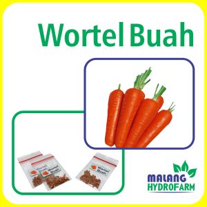 Benih Wortel Buah Unggulan Berkualitas biji bibit repack daucus carota kuroda hydroonik hidroponik sayuran buah pot