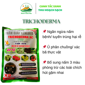 Nấm đối kháng Trichoderma | Ủ phân chuồng xác bã thực vật | Đối kháng nấm bệnh cải tạo đất cần bằng PH (gói 1kg)