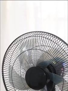 風扇降溫神器 循環扇 搖頭扇 小空調 Cooling Handy Tool Floor Fan Household Electric Fan Desktop Fan Remote Control Circulating Head Fan Small Air Conditioning Student Dormitory