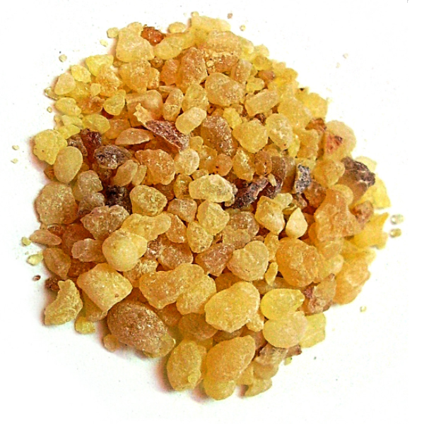 INSENSO 50 GRAMS | Lazada PH