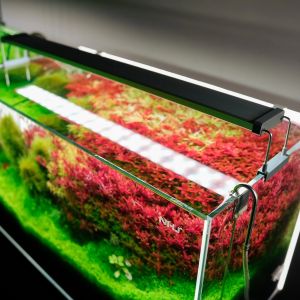 Chihiros B Series LED Light Aquarium light White RGB