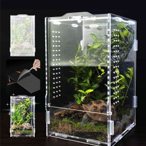 HEALMEYOU Acrylic Jumping Spider Enclosure Escape Proof Buckle Lock Spider House  Ventilated Reptile Feeding Tank Small Pet Supplies