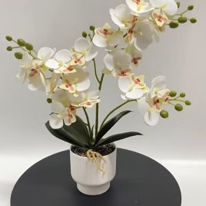 Artificial Butterfly Orchid Potted Plant Low Maintenance Lifelike Home Office Wedding Table Decor