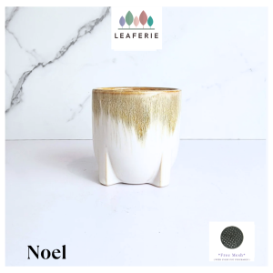 The Leaferie Noel plant pots Ceramic flowerpot flowerpots flower pot planter planters