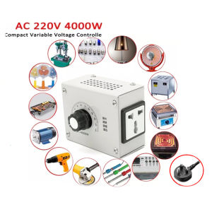 4000W Motor Speed Regulator AC 220V Variable Voltage Controller Motor Dimmer Stepless Speed Switch Led Display