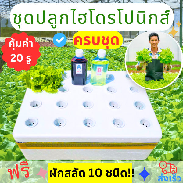 ชุดปลูกไฮโดรโปนิกส์กล่องโฟม ครบชุด ราคาประหยัด
