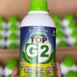 TOP G2.