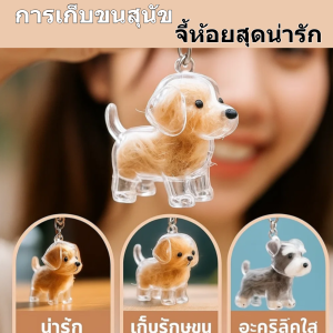 💥พวงกุญแจเก็บขนสุนัขน่ารัก💥 พวงกุญแจจี้ที่ระลึก แคปซูลขนแมวอุปกรณ์เสริมสัตว์เลี้ยงน่ารักและสร้างสรรค์พวงกุญแจแมว/พวงกุญแจเก็บขนลูกสุนัข ผ่อนคลายและมีความสุข พวงกุญแจ CUTE DIY โปร่งใส กล่องเก็บขนสุนัข