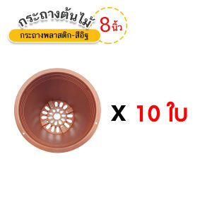 กระถางต้นไม้พลาสติก สีอิฐ ขนาด 6นิ้ว และ 8นิ้ว (แพ็ค 10ใบ)