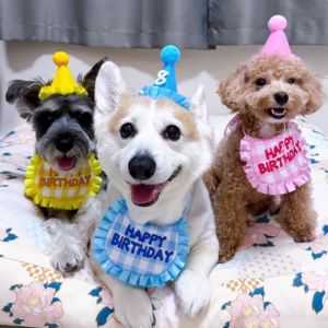 TEA7146 ผ้าฝ้ายโพลีเอสเตอร์ ชุดหมวกผ้าพันคอวันเกิดแมว พร้อมสติกเกอร์ดิจิตอล นุ่มนุ่มๆ เอี๊ยมหมวกปาร์ตี้วันเกิดสัตว์เลี้ยง อุปกรณ์งานเลี้ยงวันเกิดของสุนัข ผ้ากันเปื้อนกันเปื้อนสำหรับแมว ชุดปาร์ตี้สัตว์เลี้ยง อุปกรณ์ประกอบฉากการถ่ายภาพ