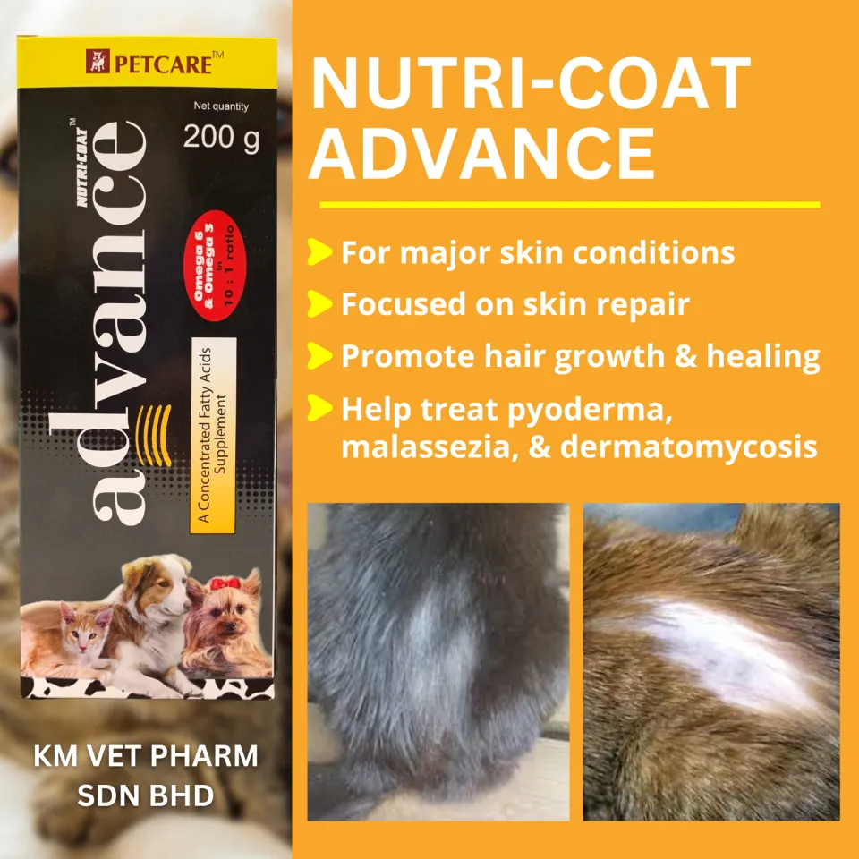 Nutri coat best sale