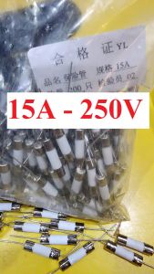 Cầu chì sứ chân cắm 15A - 20A (5x20mm)