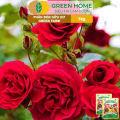 Phân Bón Hữu Cơ Green Farm, GreenHome, Gói 1kg, Chuyên Dùng Cho Cây Cảnh, Hoa Hồng. 
