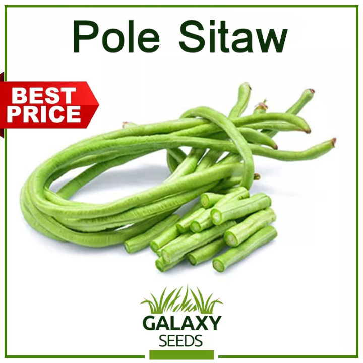 "GalaxySeeds" Sitaw Seeds for Planting Vegetable Plants (12 Seeds