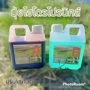 ปุ๋ยไฮโดรโปนิกส์ ปุ๋ยAB ปุ๋ยน้ำ ปุ๋ยผักสลัด สำหรับปลูกผัก Hydroponics ขนาด1000ML New สูตรเข้มข้น