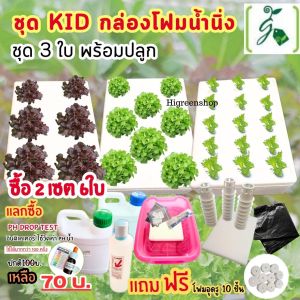 ชุด kid กล่องโฟมน้ำนิ่ง กล่องกุ้ง(สั่งได้เพียง 6 ใบ/ออเดอร์เท่านั้น)