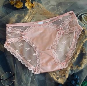 Quần lót nữ thun lụa phối ren cao cấp_QL502