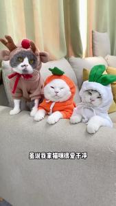 普欣诺猫狗咪癣喷剂猫狗通用舍专用外用掉毛结痂痒真菌皮肤100ml