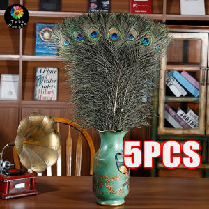 5pcs Peacock Feathers Peacock Feather Bulu Burung Merak Dekorasi Foto 25-30cm
