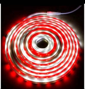 LAMPU LED STRIP SELANG MERAH PUTIH 3528 2835 220V + ADAPTOR 10M