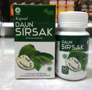 Kapsul HERBAL daun sirsak inayah herbal kanker dan penyakit dalam Kapsul Daun Sirsak Inayah untuk Kanker Tumor Herbal Alami  HERBAL