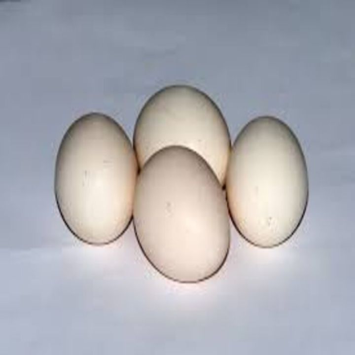 Telur Ayam Kampung Jawa Segar Tembean - Kualitas Terjamin dari Peternakan Berkualitas!