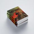 Sách - Miền Hoang - Sương Nguyệt Minh - SBOOKS. 
