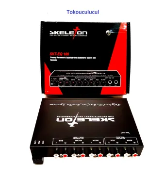 PARAMETRIC EQUALIZER SKT-EQ100