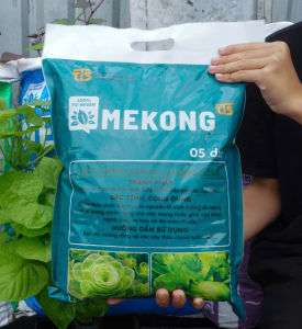 Đất Trồng Sen Đá 5DM3