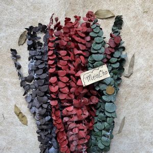 (3-6 tangkai) GROSIR Bunga Daun Kering EUCALYPTUS Silver Dollar Preserved Flower Import Rustik Tangkai Panjang