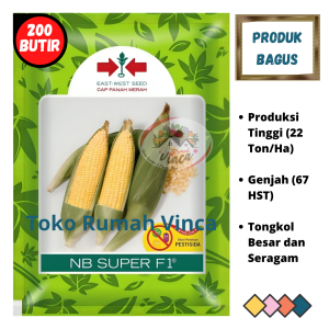 Benih Bibit Biji Jagung Manis SECADA F1 200 butir Cap Panah Merah Jagung Pipil Thailand sweet corn