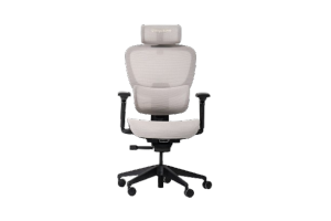 ErgoTune Joobie Ergonomic Chair | 15 Adjustable Points | Footpad Compatible | Duraweave Fabric