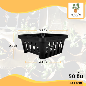กระถางต้นไม้ กระถางกล้วยไม้ 4 เหลี่ยม เบอร์ 6 นิ้ว 50 ใบ ชิ้น ยกมัด