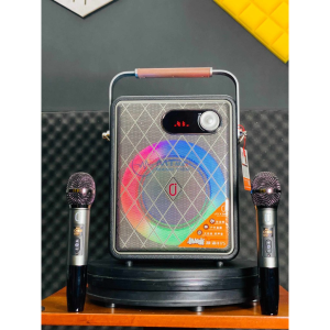 Loa Xách Tay Karaoke N125 Bass20 Đèn LED Nhiều Màu Kèm 2 Micro Karaoke Kết Nối Bluetooth 5.0 USB AUX Thẻ Nhớ