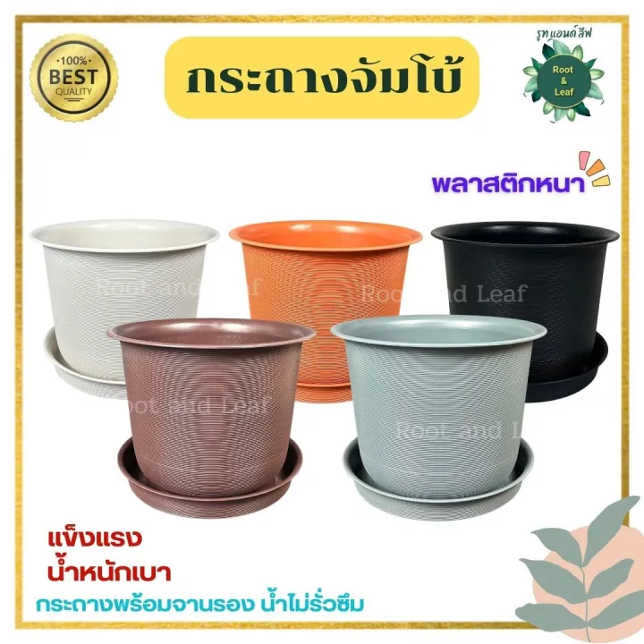 กระถางจัมโบ้ มินิมอลสีขาว ทรง Tonneau พร้อมจานรอง