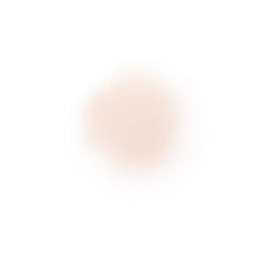 【Direct From Japan】COSME DECORTE Loose Powder 20g - Translucent Long-lasting Oil Control