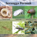 SUPER REPEL Spray Organic Insect Repellant. 