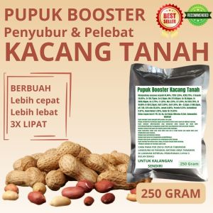 Pupuk Booster Kacang Tanah / Obat Booster Kacang Tanah / Pupuk Booster Kacang Tanah