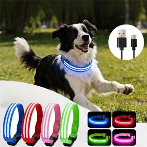 STARRY Adjustable Light Up Dog Collar Flashing Light Nylon Material Night Safety Buckle Chain High Quality Anti-Lost Pet Luminous Collar Night Walk