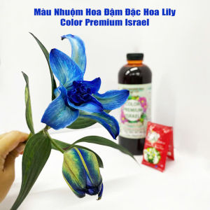 Thuốc Nước nhuộm màu hoa LILY & TULIP màu Hồng Sen nhập khẩu công nghệ Israel (chai nhỏ đậm đặc 100ml pha 1L nước màu hoa) là dạng nước màu đặc biệt dành đổi màu hoa Lily (khác màu nhuộm màu hoa cúc)